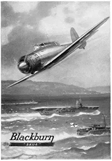 Skua: Blackburn Skua