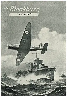 Skua: Blackburn Skua