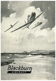 Skua: Blackburn Skua