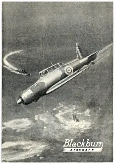 Skua: Blackburn Skua