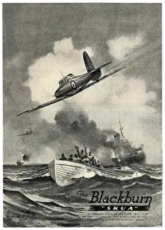 Skua: Blackburn Skua