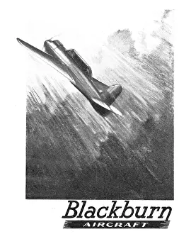 Skua: Blackburn Skua