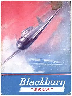 Skua: Blackburn Skua