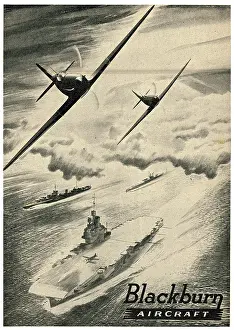 Skua: Blackburn Skua