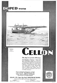 Doped: Blackburn Sydney Flying Boat Doped With Cellon
