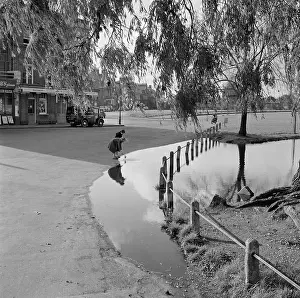 Grote: Blackheath, London