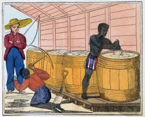 1813: The Blackman's Lament on how to make Sugar Artist: