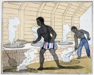 1813: The Blackman's Lament on how to make Sugar Artist: