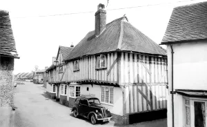Blackmore: Blackmore, the Bull c1955