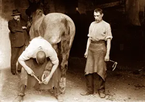 Smithy: Blacksmith, Beckenham early 1900's