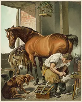 Toolbox: Blacksmith - Horse - 19th century