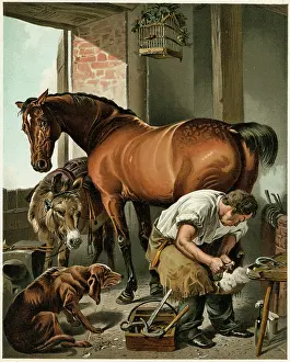 Blacksmiths: Blacksmith - Horse - 19th century