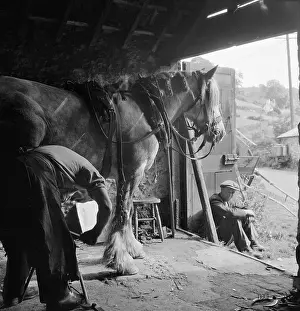 Branscombe: Blacksmith And Horse