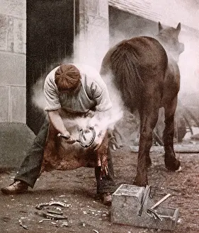 Hoof: Blacksmith and Horse