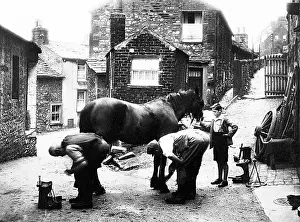 Farrier: Blacksmith at Settle, early 1900s