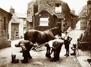 Farrier: Blacksmith, Settle, Edwardian period
