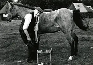 Farrier: Blacksmith shoeing a horse