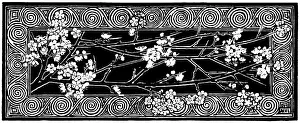 Lilley: Blackthorn