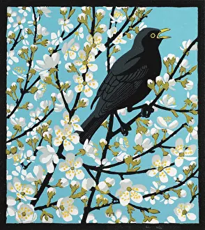 Blackbird: Blackthorn Blackbird