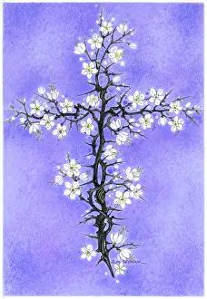Brenda: Blackthorn Cross on a violet background