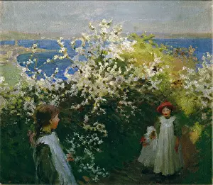 Newlyn: Blackthorn over Newlyn