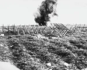 Bombarded: Blairville Wood 1916