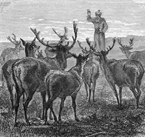 Protects: Blaise Blesses Deer