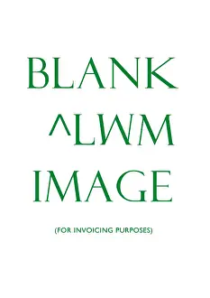 Lawson Wood (mary Evans): Blank ^LWM record for invoicing purposes