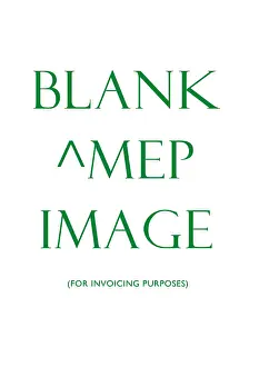 Blank ^MEP record for invoicing purposes