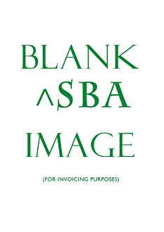 Shirley Baker: Blank ^SBA record for invoicing purposes