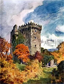 Blarney: BLARNEY CASTLE 1916