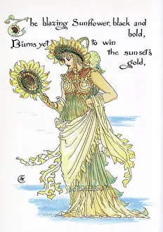 Helianthus: The blazing Sunflower