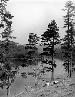 Blea: Blea Tarn, Lake District, Cumbria