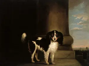 Chalon: Blenheim King Charles Spaniel in a Landscape