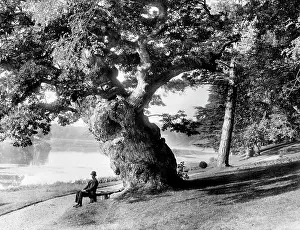Semi Circular: Blenheim Palace Park