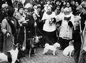 Antonius: Blessing of animals