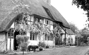 Blewbury: Blewbury, Hall Barn Close c1960