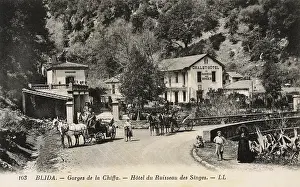 Blida: Blida, Algeria