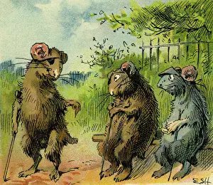 Aesops: Three Blind Mice