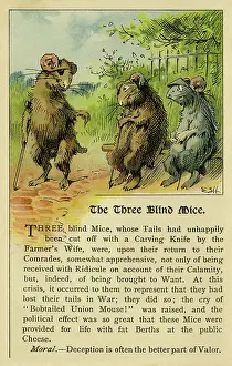 Litrature: The three blind mice
