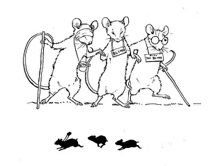 Challenged: Three Blind Mice