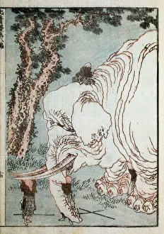 Conclusion: Blind monks examining an elephant