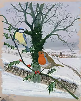 Whalley: Bllue Tit and Robin on Holly