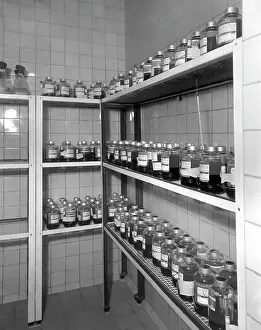 Donors: Blood bank