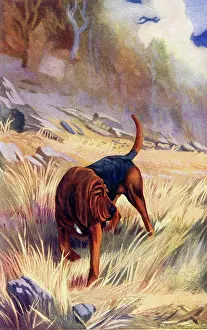 Bloodhound: Bloodhound