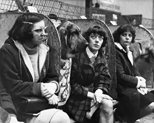 Compartments: Bloodhounds and owners at a dog show