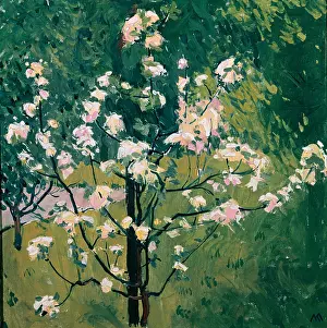 Koloman: Blooming tree in the garden