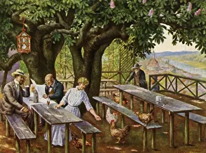 Viewpoint: Under blooming trees