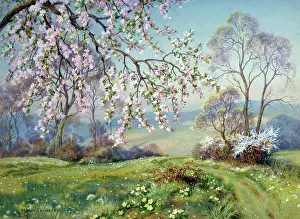 Forestier: Blossom and Primroses ? spring landscape