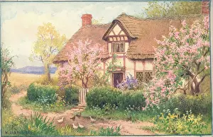 Cropthorne: Blossom Time at Cropthorne, Worcestershire